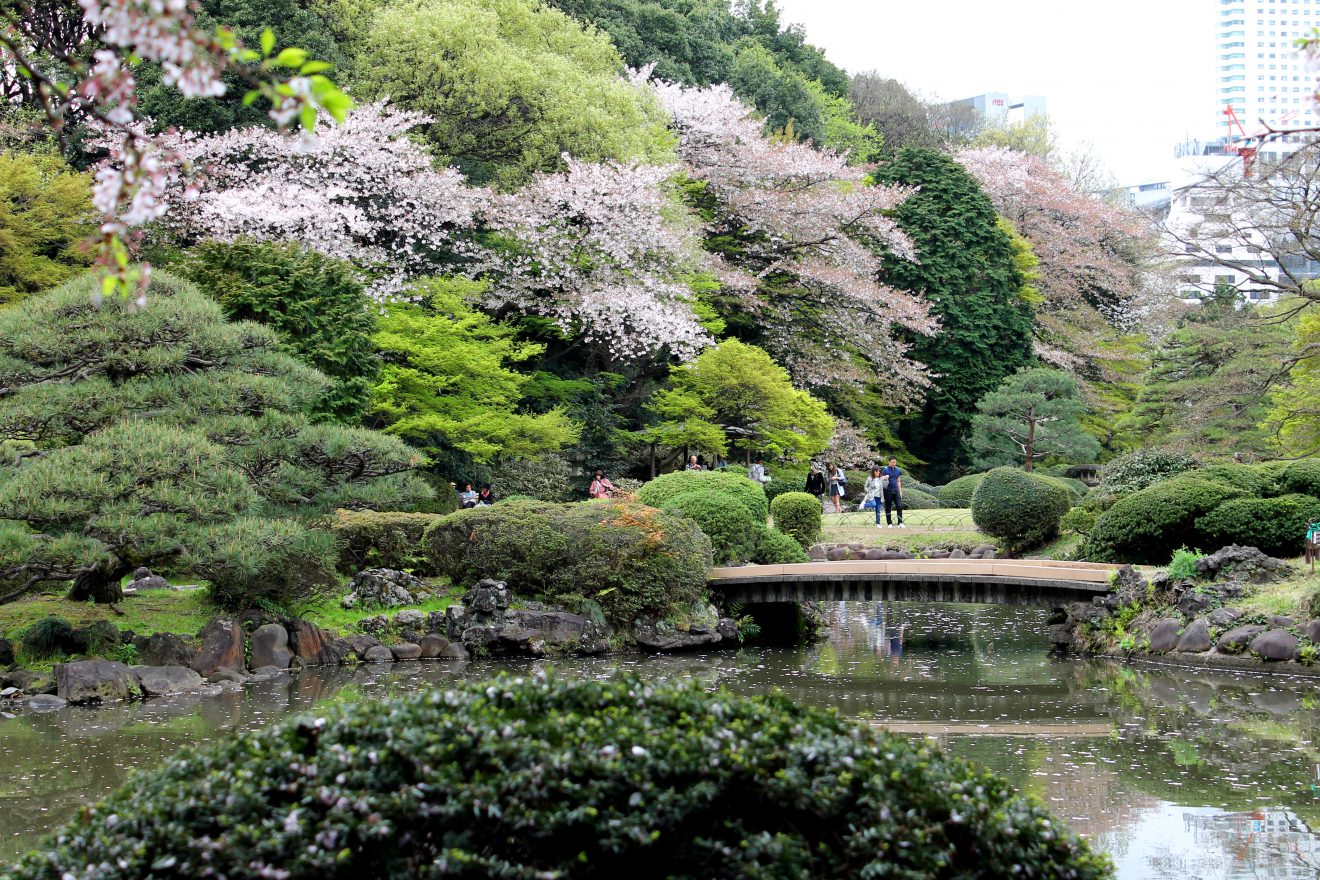 Shinjuku Park, Tokyo, Japan | Footsteps of a Dreamer