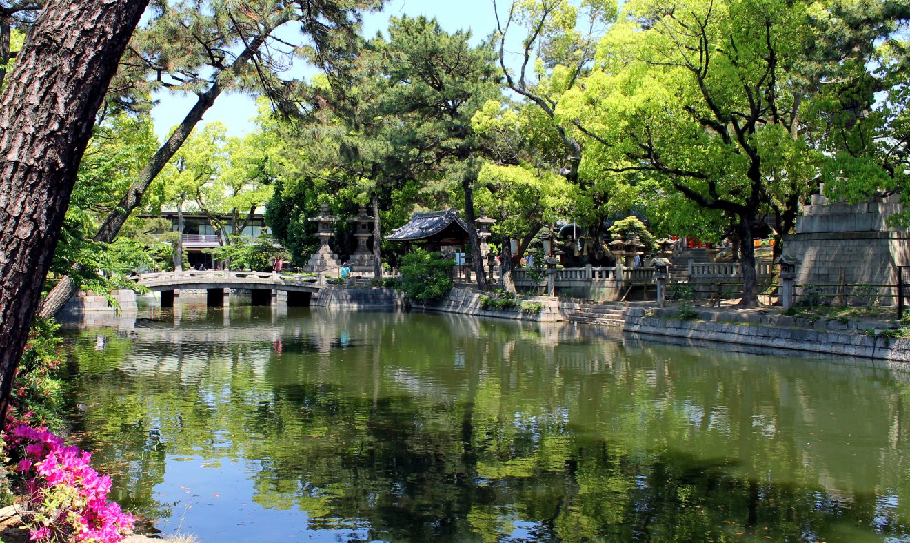 Sumiyoshi Taisha | Footsteps of a Dreamer