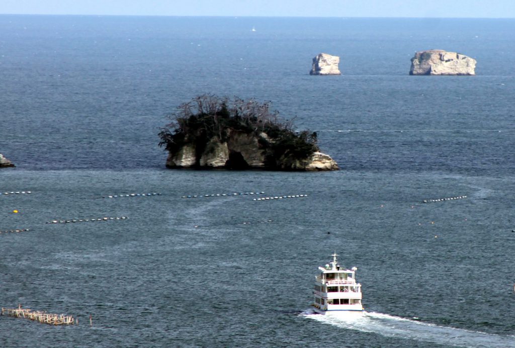 Matsushima | Footsteps of a Dreamer