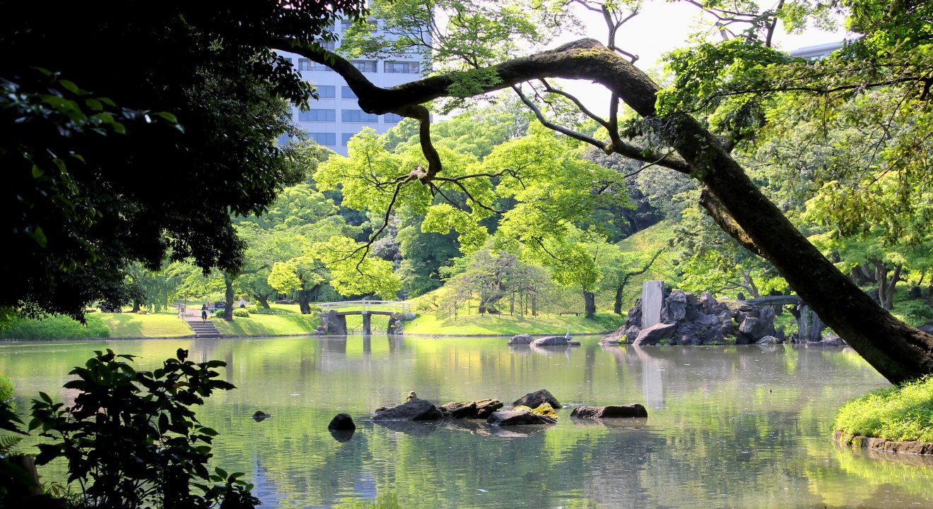 Koishikawa Korakuen, Tokyo, Japan | Footsteps of a Dreamer