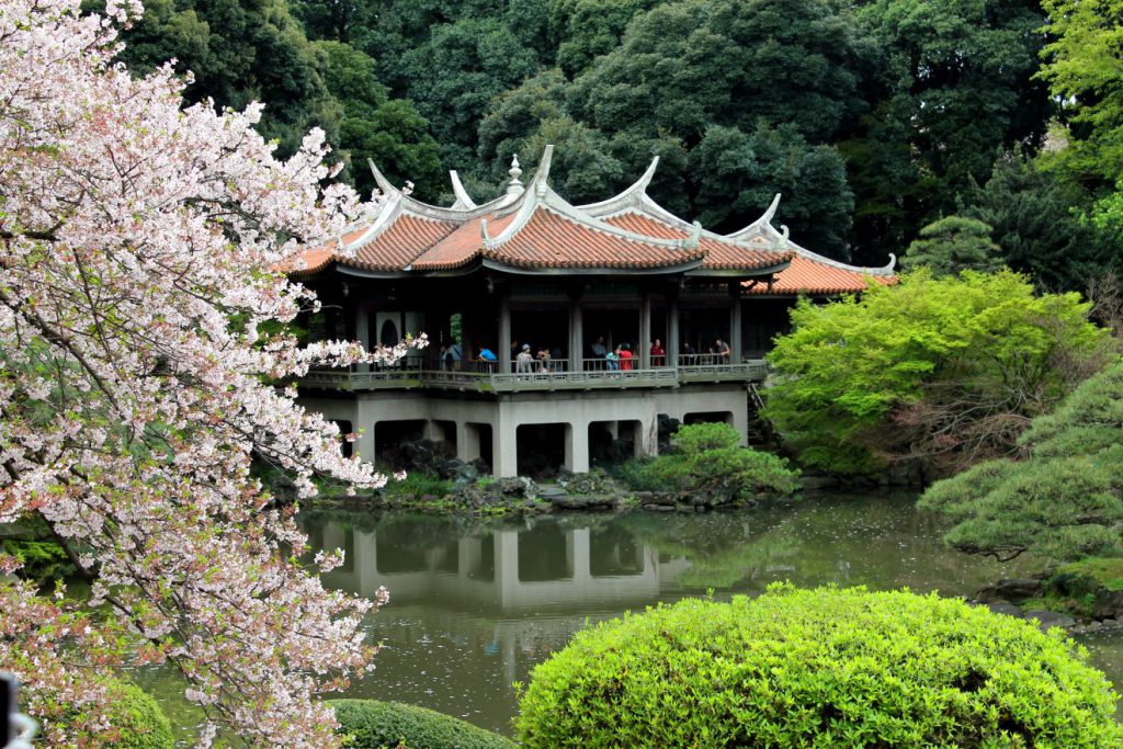 Shinjuku Gyoen, Tokyo, Japan | Footsteps of a Dreamer