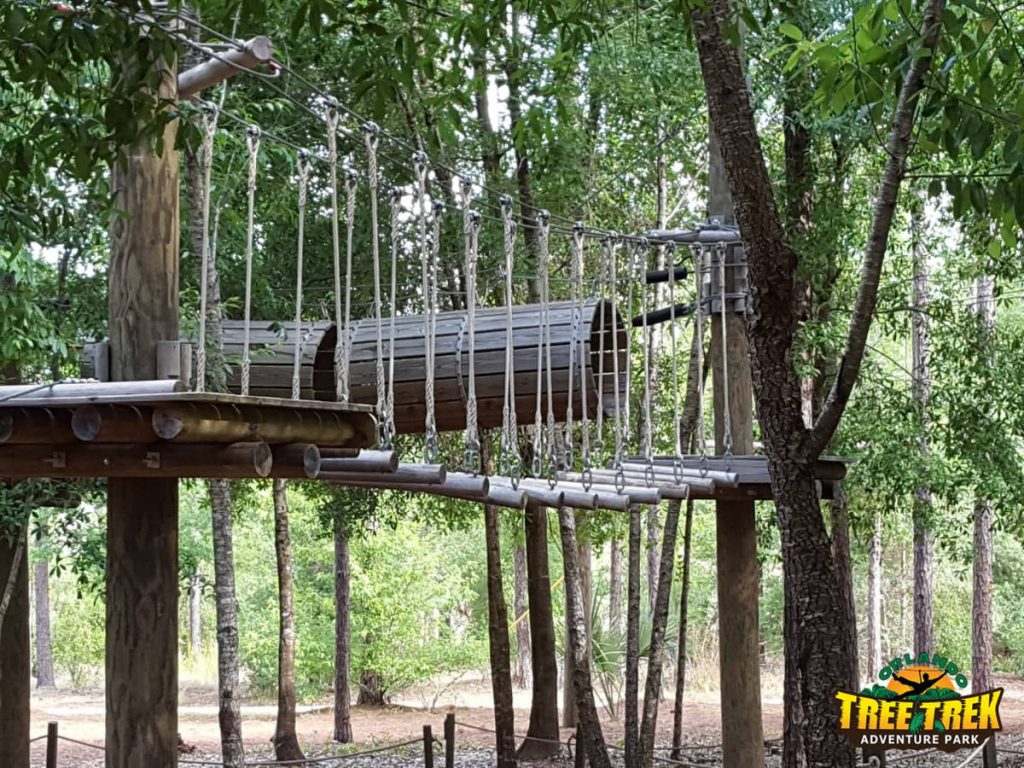 Orlando Tree Trek Adventure Park Review Orlando's Zipline and Aerial