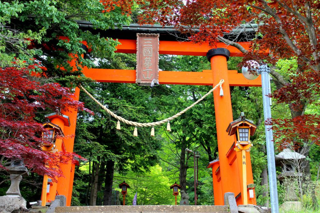 Chureito Pagoda | Footsteps of a Dreamer