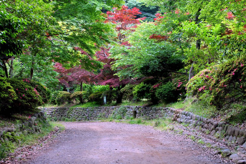 Kamakura | Footsteps of a Dreamer