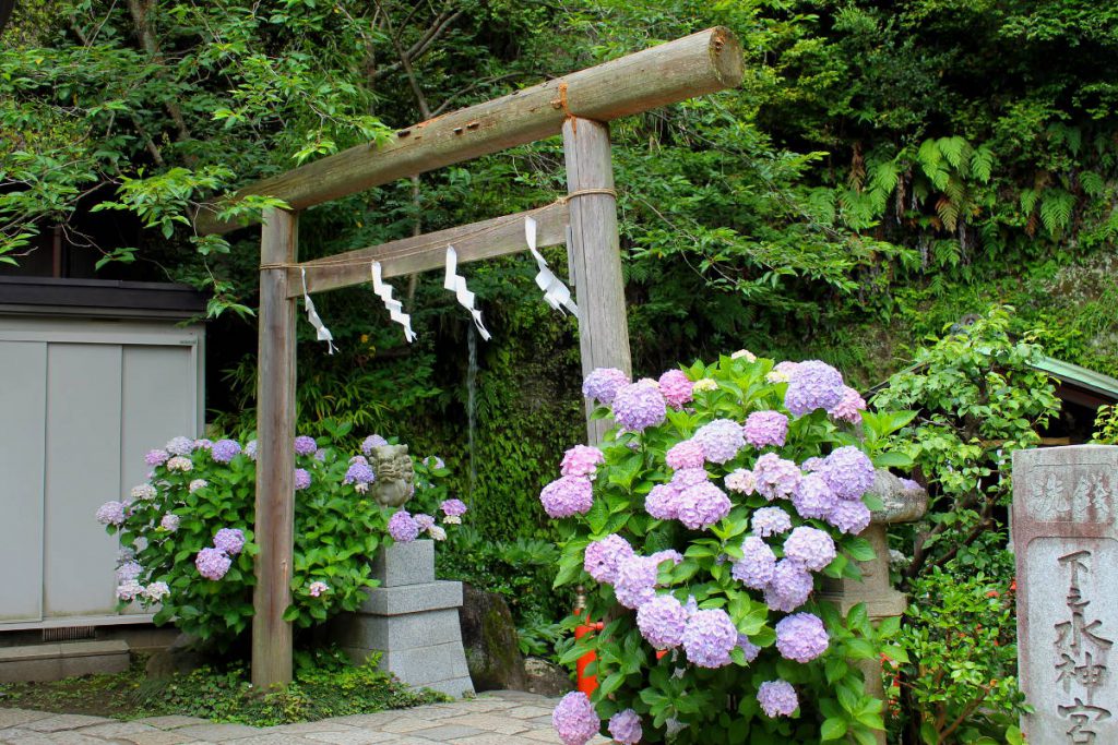 Zeniarai Benten Kamakura | Footsteps of a Dreamer