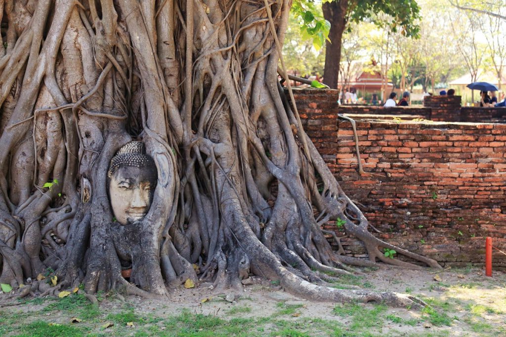 Ayutthaya, Thailand, Yoga Wine Travel