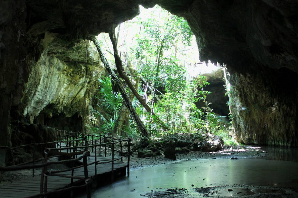 Cenote Caracol Dry Route | Footsteps of a Dreamer