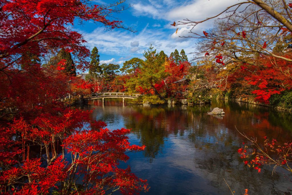 Fall in Japan | Footsteps of a Dreamer