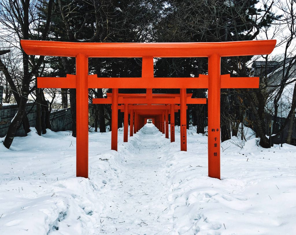 Winter in Japan | Footsteps of a Dreamer